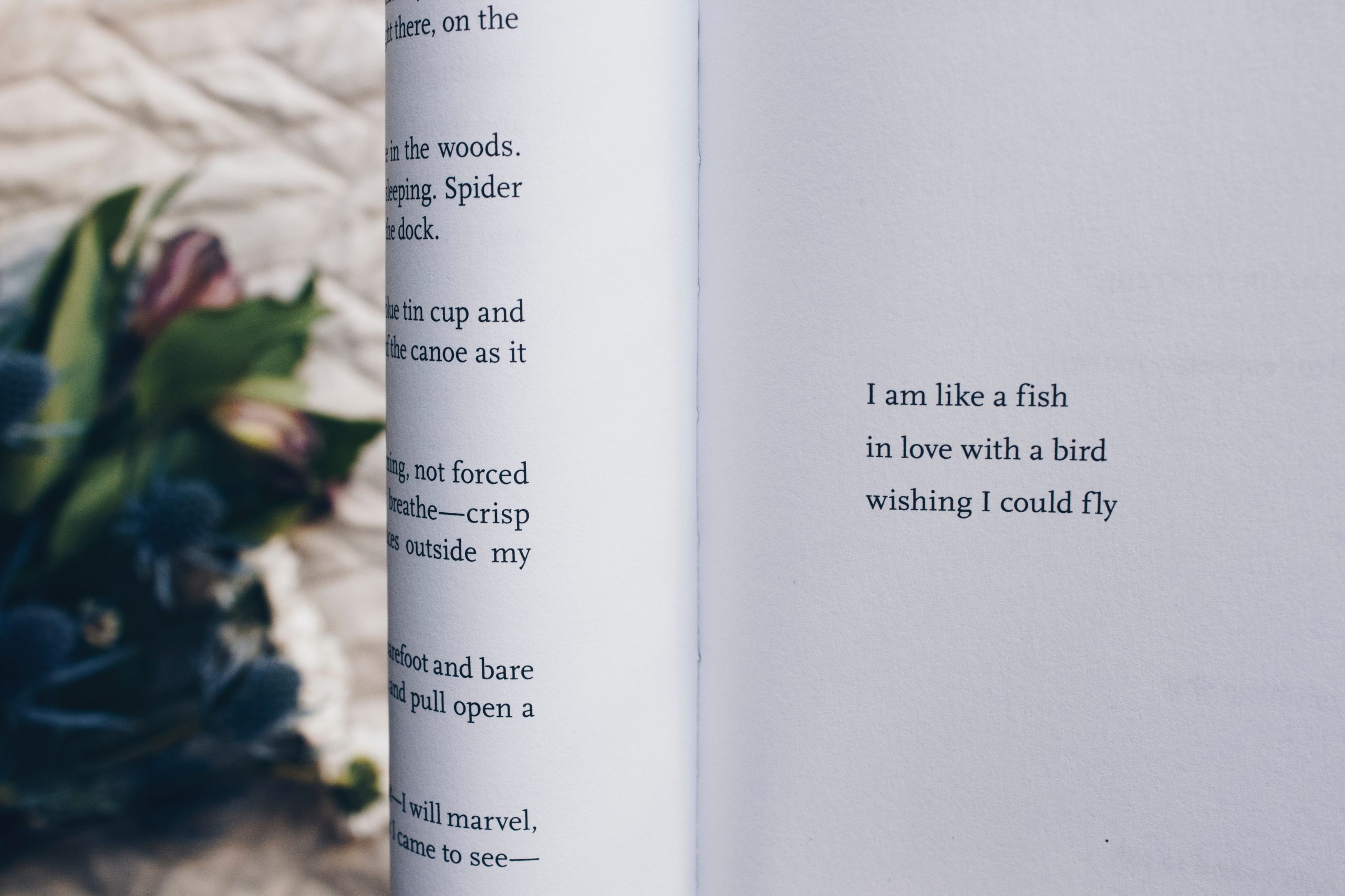 es zeigt ein Buch mit einem Gedicht, die schönste Geschichte über Satzzeichen