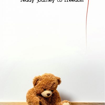 ein Teddybär träumt sich frei - Bestseller von Björn Nonhoff